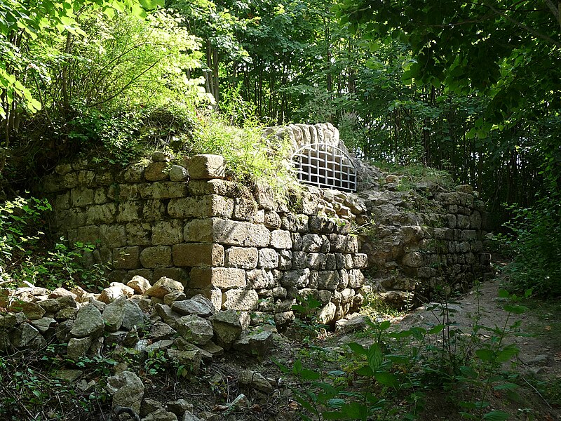 File:Château du Pflixbourg citerne.JPG