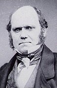 Charles Darwin (1809-1882).  naturalista inglês.  Ele propôs a teoria da evolução baseada na seleção natural.