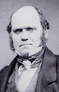 Correspondence of Charles Darwin