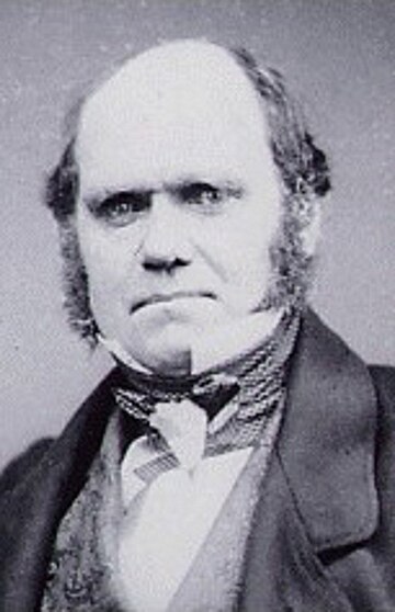 File:Charles Darwin.jpg