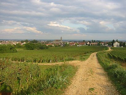 How to get to Marsannay-la-Côte with public transit - About the place