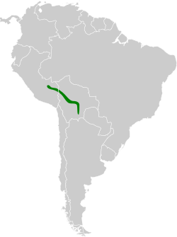 Distribución geográfica del saltarín yunga.