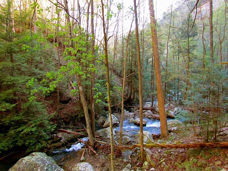 800px Cloudland Canyon State Park %288648813686%29