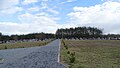 wikimedia_commons=File:Cmentarz parafialny w Przyborowie3.jpg
