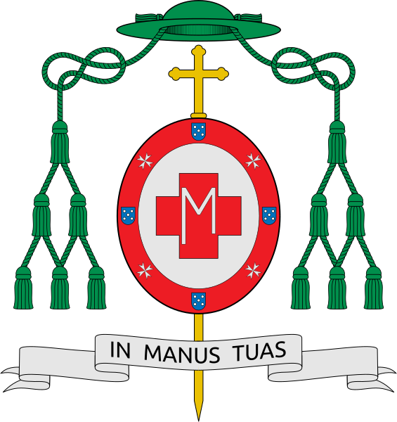 File:Coat of arms of Américo Manuel Alves Aguiar.svg