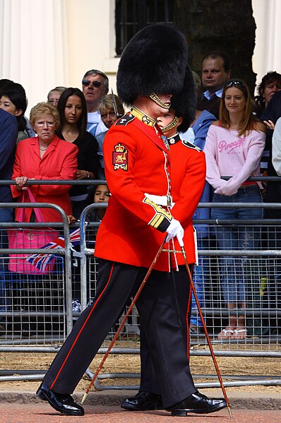 File:Colour Sergeant, Welsh Guards, with pace stick.jpg