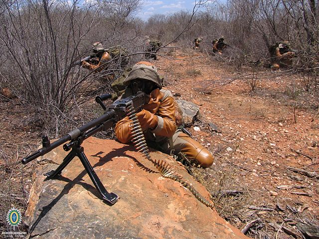 File:Combatente da Caatinga (26673452366).jpg - Wikipedia