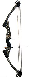 Illustrasjonsbilde av artikkelen Compound bow