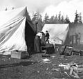 Cook's tent at Fort Lawton, May 1900 (KIEHL 303).jpeg