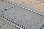 Миниатюра для Файл:Cottbus, worn out tram track Spreestraße-Madlow in May 2024 (3 of 13).jpg