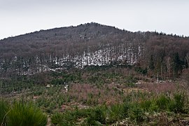 Courzieu, oppidum du Chatelard.jpg