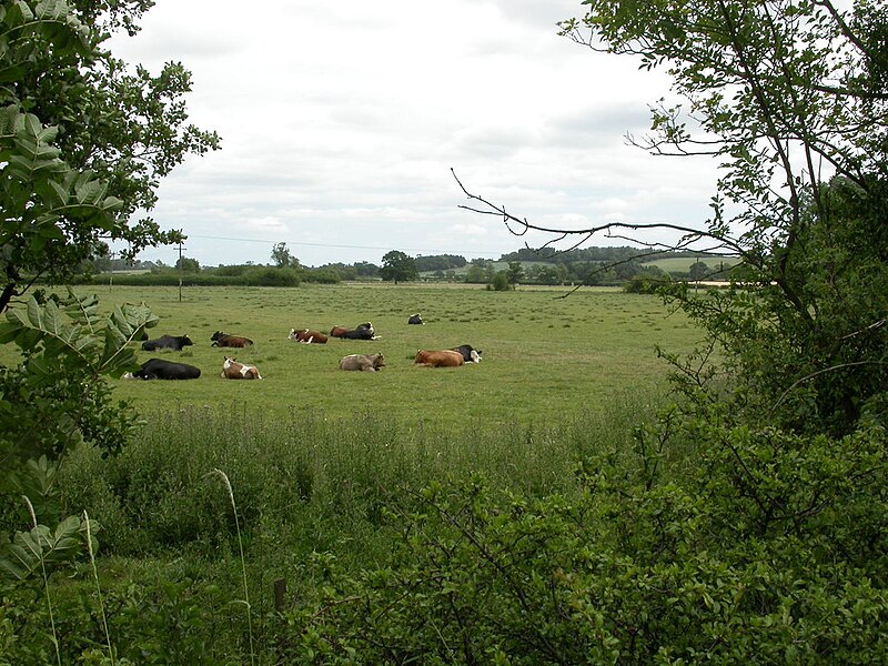 File:Cropredy, battlefield - geograph.org.uk - 1954273.jpg