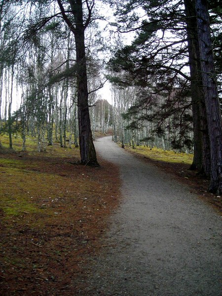 File:Cycleway Near Aviemore - geograph.org.uk - 764231.jpg