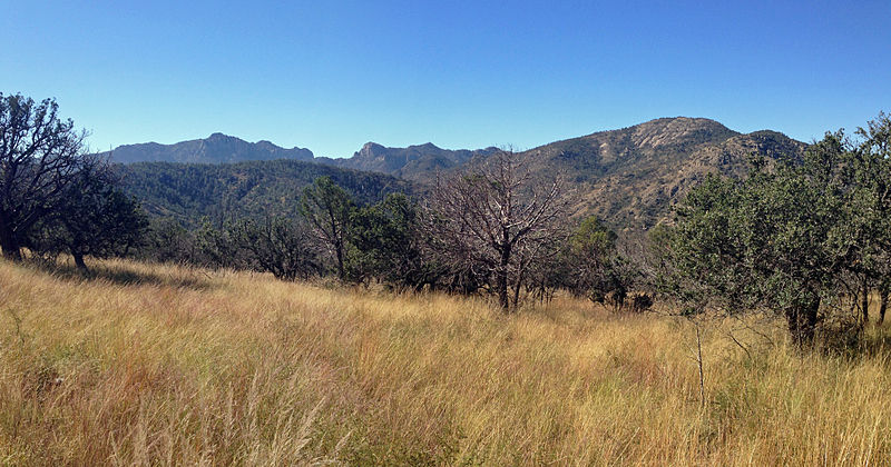 File:Davis Mountains Preserve 2.JPG