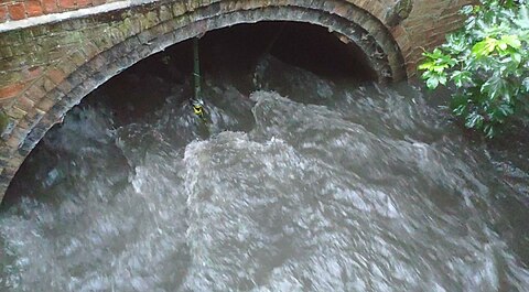 Day of the flood showing the River Wandle rise and the acrow props under the Mitcham Bridge 20190611 065914.jpg