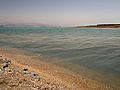 Dead sea (3308945406).jpg