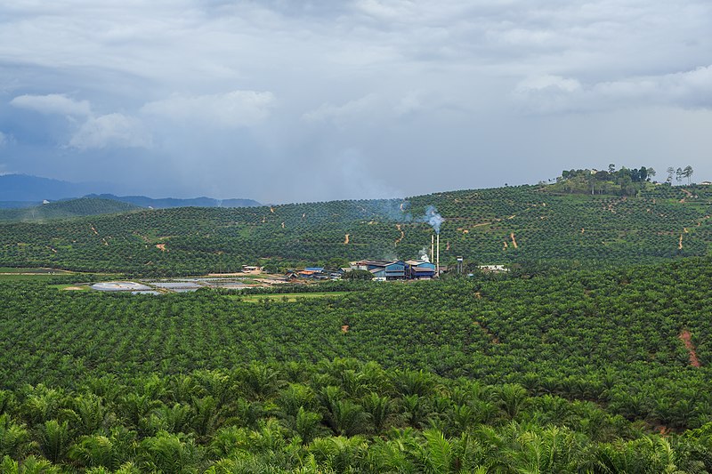 File:District-Kunak Sabah IOI-Baturong-Palm-Oil-Mill-02.jpg