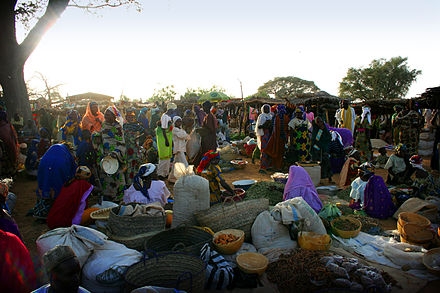 At the market in Dogo in the south of Niger