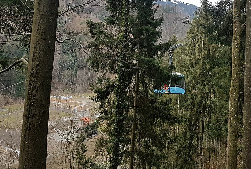 File:Dornbirn-Karrenseilbahn-Slack carriers-06ASD.jpg