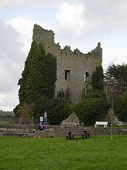 Dromineer Castle