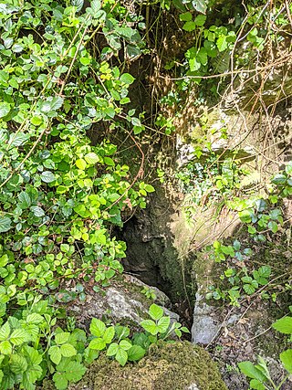 <span class="mw-page-title-main">Drunkard's Hole</span> Cave in Somerset, England