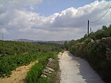 Català: Olèrdola (Garraf, Alt Penedès) (Canyelles, Olèrdola). This is a a photo of a natural area in Catalonia, Spain, with id: ES510149 Object location 41° 17′ 52.8″ N, 1° 42′ 36″ E  View all coordinates using: OpenStreetMap