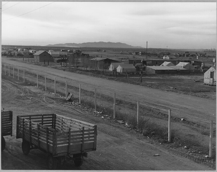 File:Eloy, Pinal County, Arizona. Squatter camp, across the road from the cotton gin. The only water avai . . . - NARA - 522272.tif