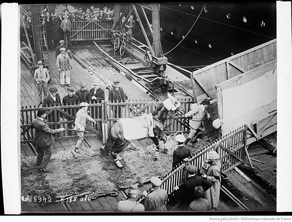 Papyrus boarding the RMS Aquitania for America (21 September 1923).