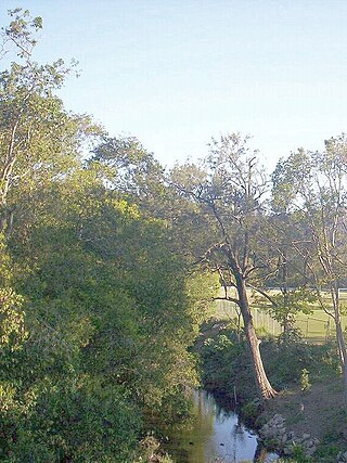 <span class="mw-page-title-main">Enoggera Creek</span> Creek in Queensland, Australia