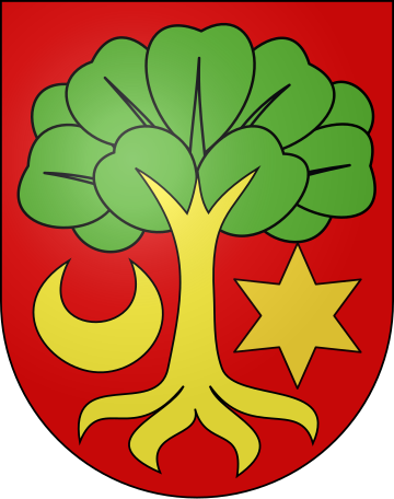 Erlach (distrikto)