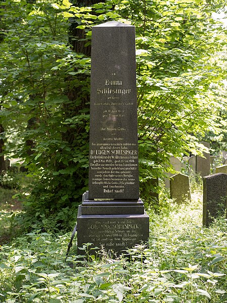 File:Eugen Schlesinger grave, Vienna, 2018.jpg