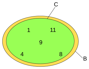 Example of C is no proper subset of B.svg