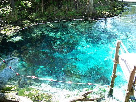 Fanning Springs State Park - Wikipedia