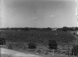 Farm at Burdett(GN07803).jpg