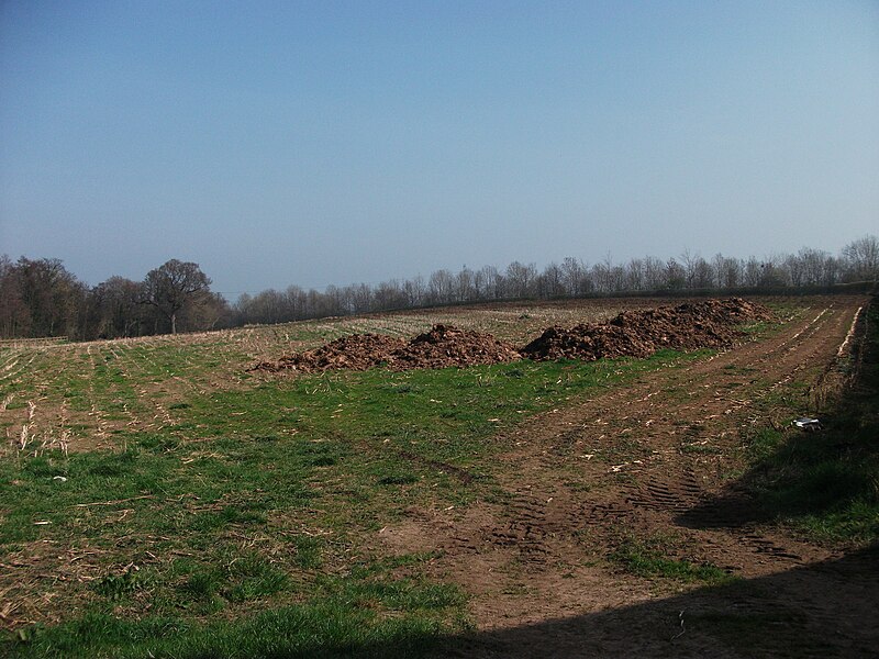 File:Farmyard manure waiting to be spread - geograph.org.uk - 2865117.jpg