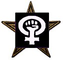 The Feminism Barnstar. For your contributions to the Women in 2014 article. Well done, Slim. GRuban (talk) 18:38, 3 January 2015 (UTC)