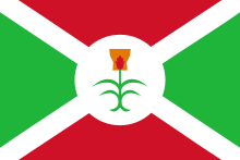 белый флаг на белом кресте зеленый и красный фон с растением в центре белый рондель 