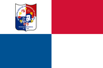 Flag of Fernando de la Mora.png