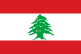 Vlag