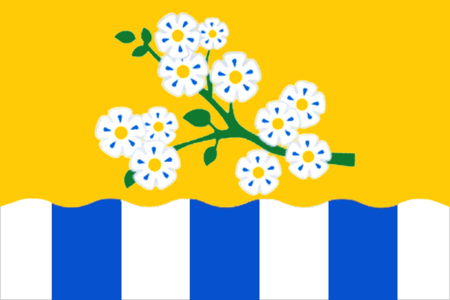 Flag of Leninsk.png