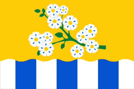 File:Flag of Leninsk.png