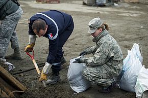 Flickr - DVIDSHUB - Misawa Air Base Personnel Assist with Clean Up in Japanese City (Image 1 of 6).jpg