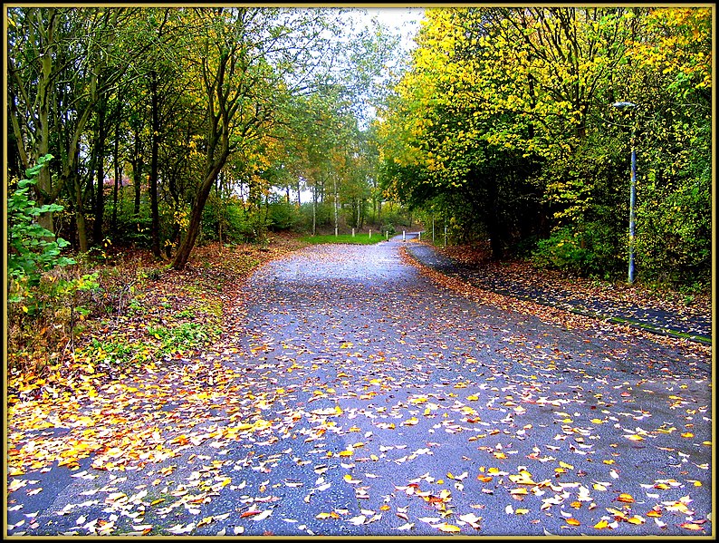 File:Flickr - ronsaunders47 - END OF THE ROAD. 1. WARRINGTON CHESHIRE UK..jpg
