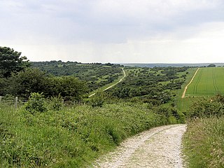 Lullington Heath human settlement in United Kingdom