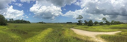 A panorama of the hammocks and salt marsh at the site of Fort Mose.