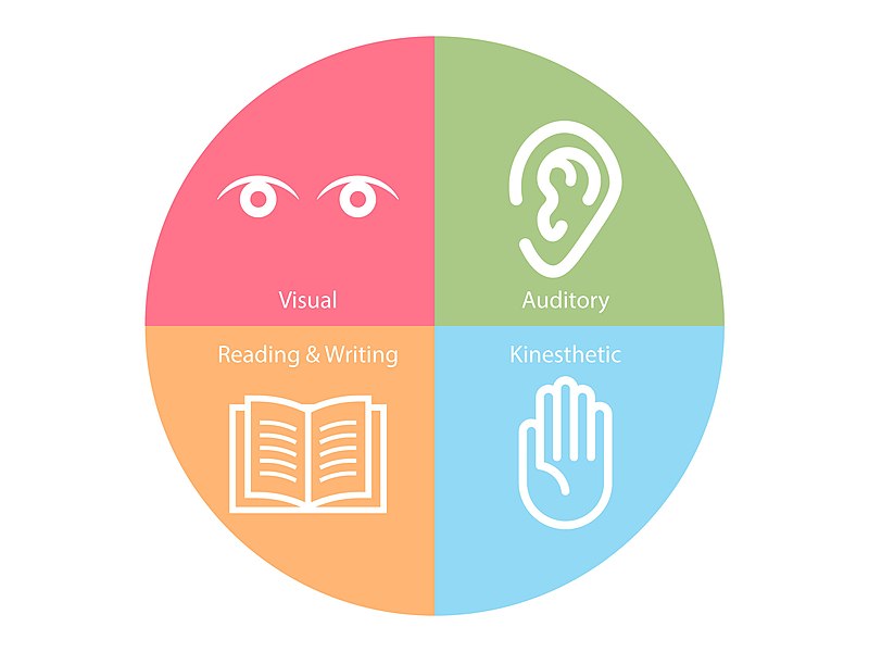 File:Four Types of Learning Styles.jpg