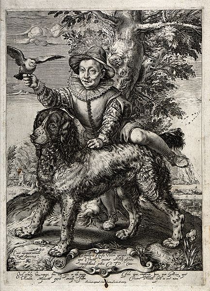 File:Frederick de Vries, an apprentice of Hendrik Goltzius, is sh Wellcome V0022924.jpg