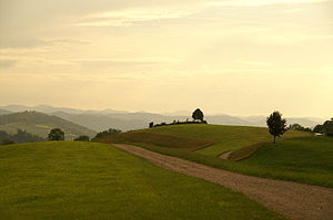 Landscape near St.Gallen