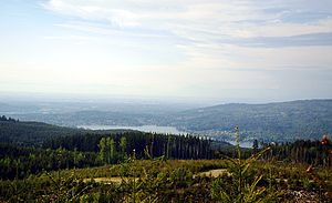 View from Galbraith Mountain towards Bellingham