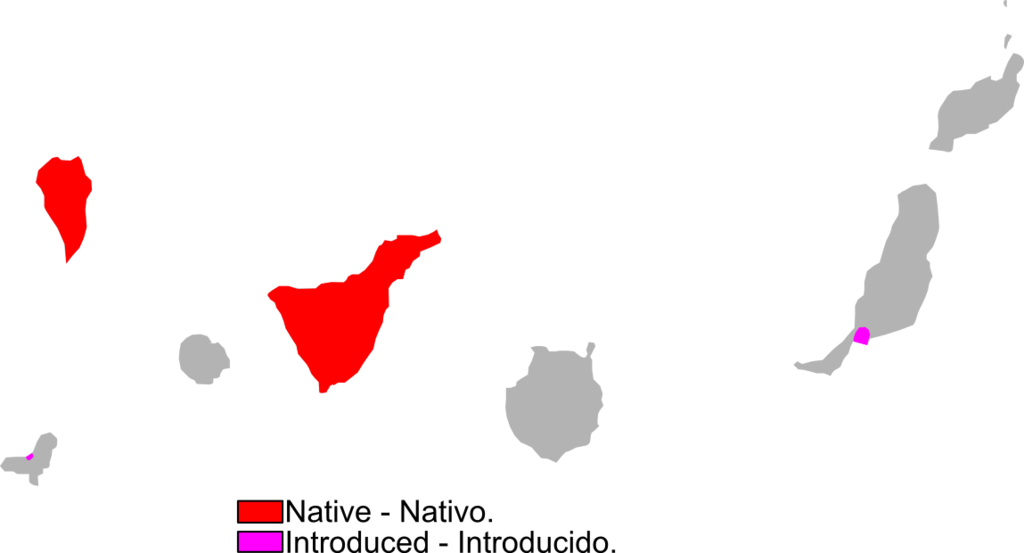 Gallotia galloti range Map.png